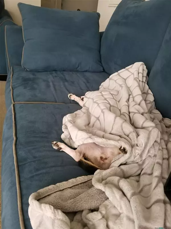 Under My Blanket