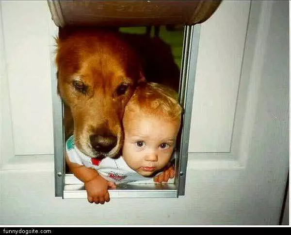 Sharing Doggy Door
