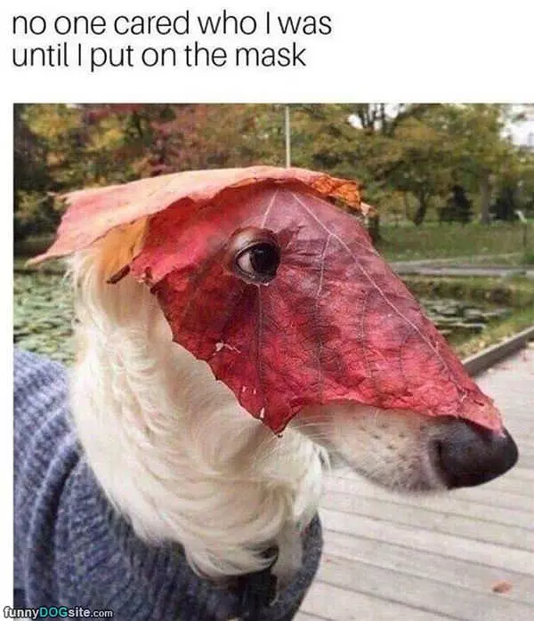 I Have A Mask