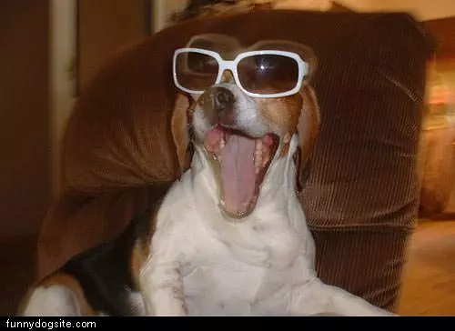 Cool Glasses Smiley Dog