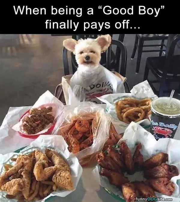 Being A Good Boy Pays Off