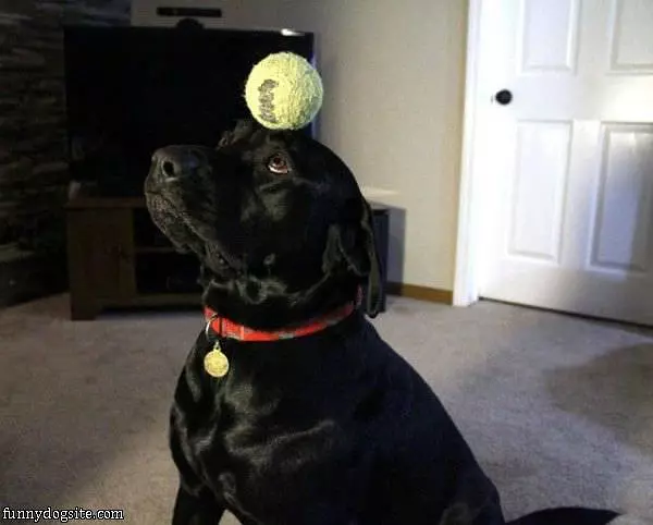 Balancing The Ball