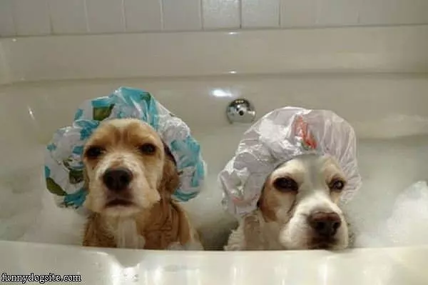 We Are Ready For Our Bath Now