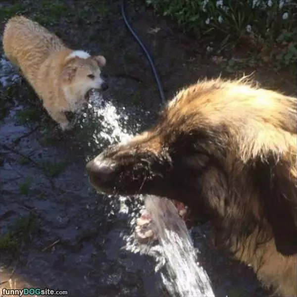 Catching The Water