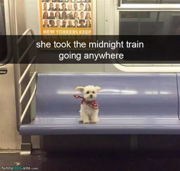 Midnight Train Going Nowhere