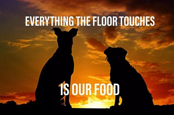 Everything That Touches The Floor