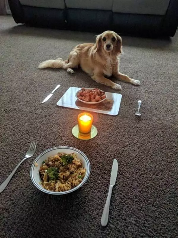 Having A Wonderful Dinner