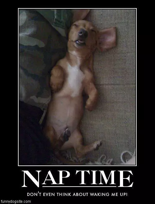 Nap Time