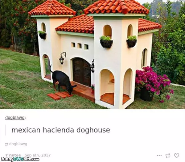 Awesome Dog House