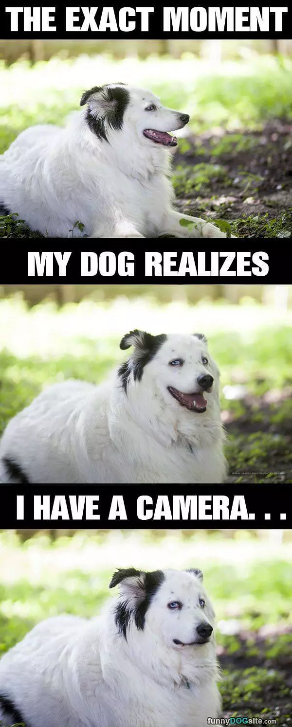 I Have A Camera