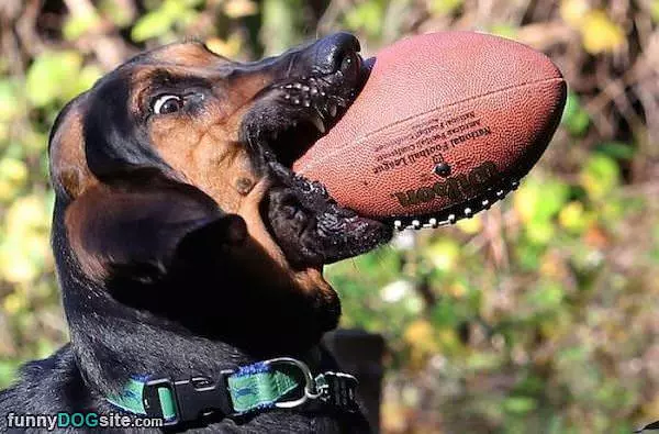 Caught Me A Football