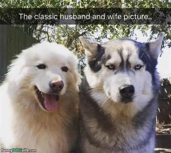Classic Husband And Wife