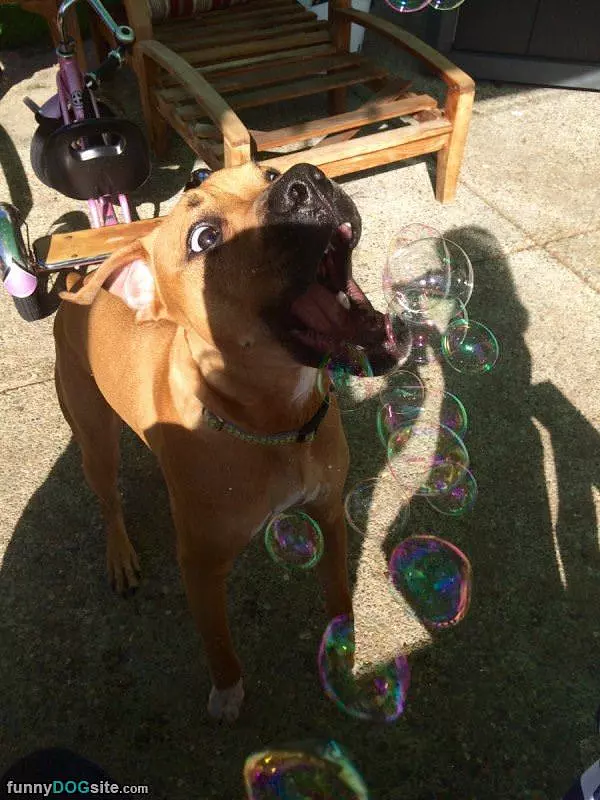 I Got Me Some Bubbles