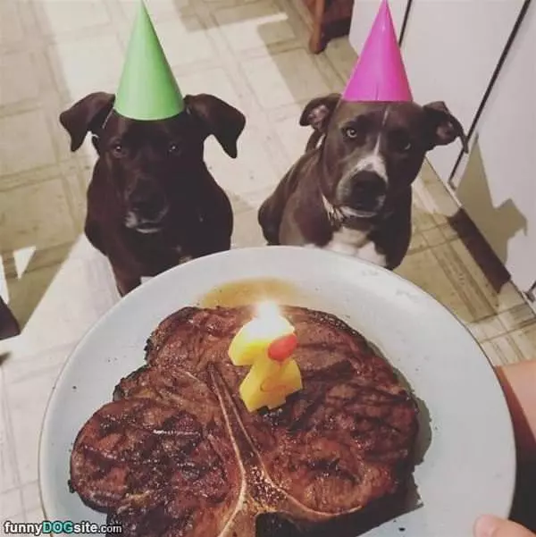 A Great Birthday Party