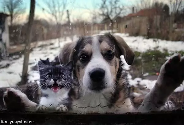 Hey Let Us In