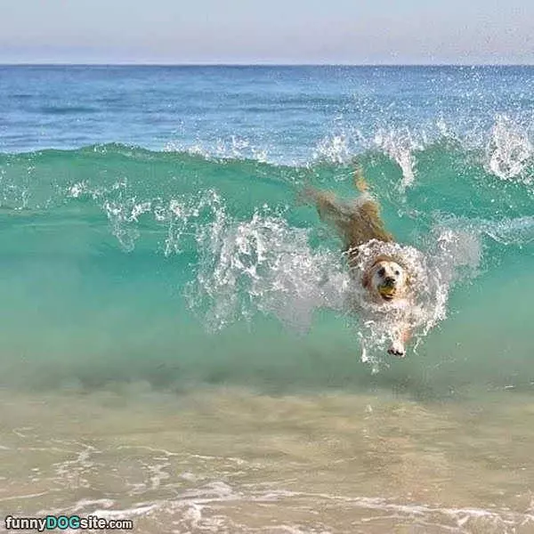 Swimming In The Waves