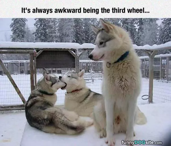 Always Awkward