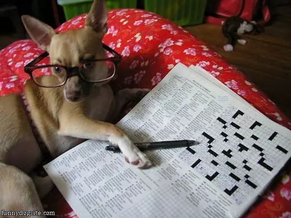 Finished Your Crossword