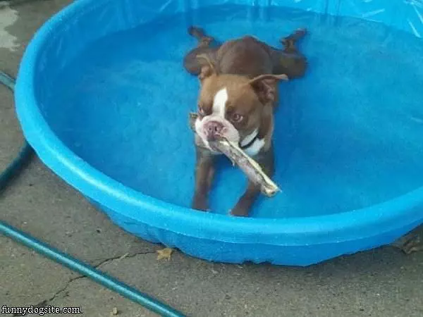 I Is In The Pool