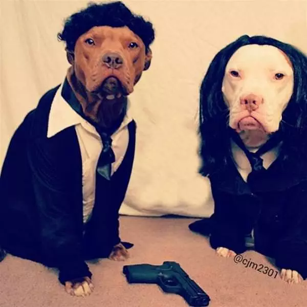 The Pulp Fiction Dogs