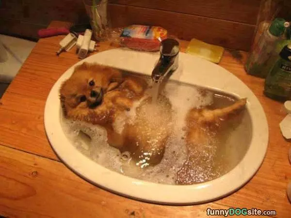 Taking A Warm Bath