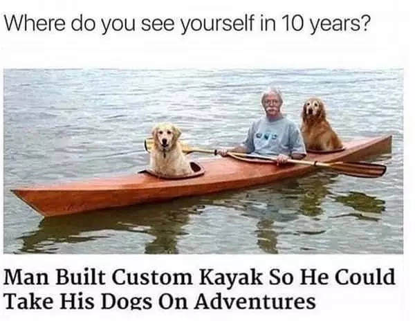 Custom Kayak For Dogs