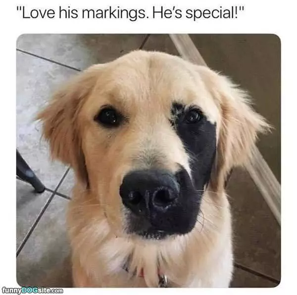 Those Are Great Markings
