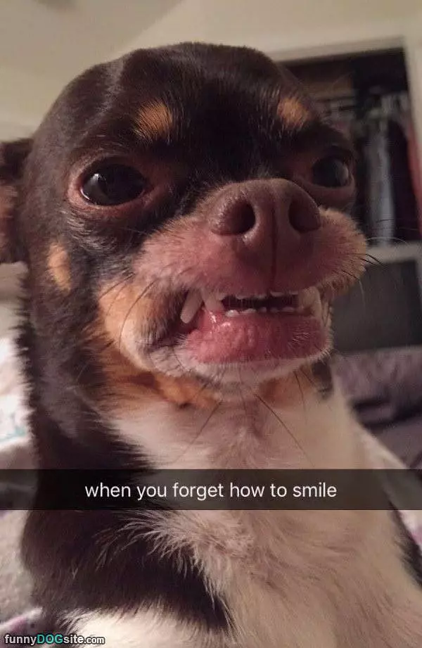 When You Forgot How To Smile