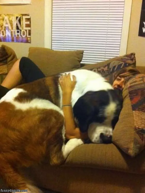 Giant Dogs Need Hugs Too