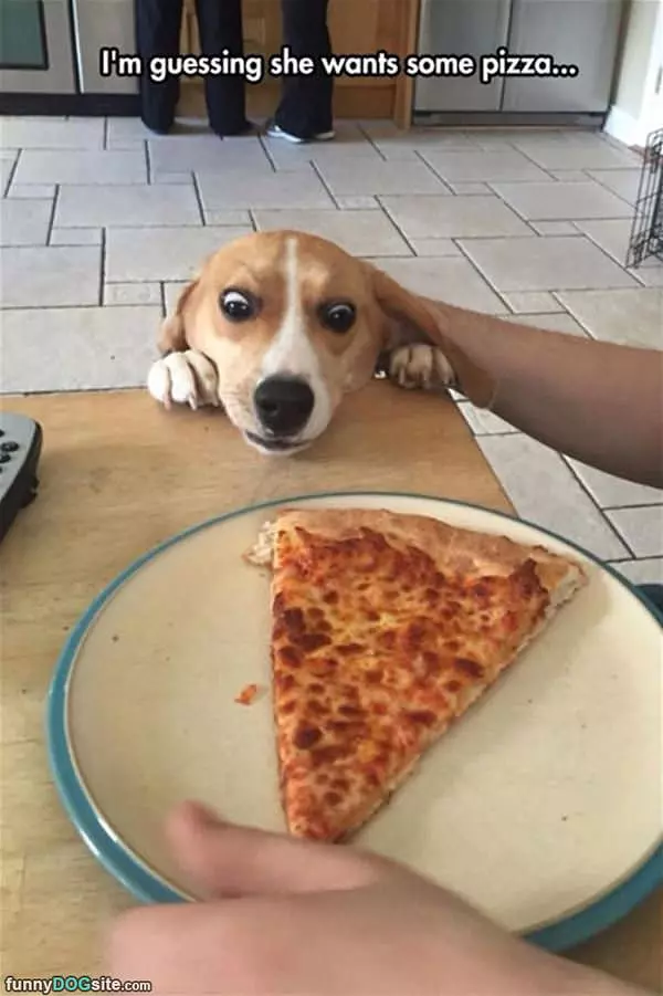 I Want Some Of The Pizza