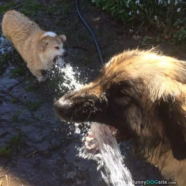Eating The Water