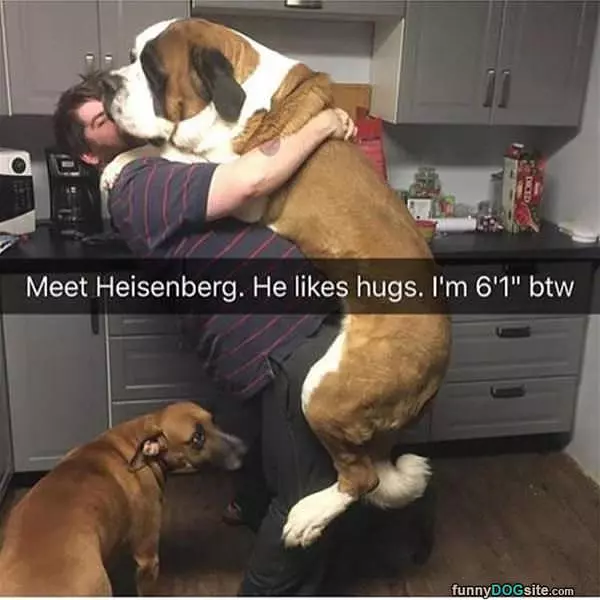 This Dog Loves To Hug