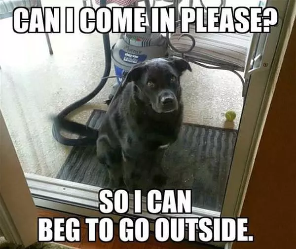 Can I Come In Please