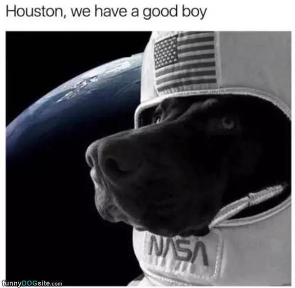 We Have A Good Boy