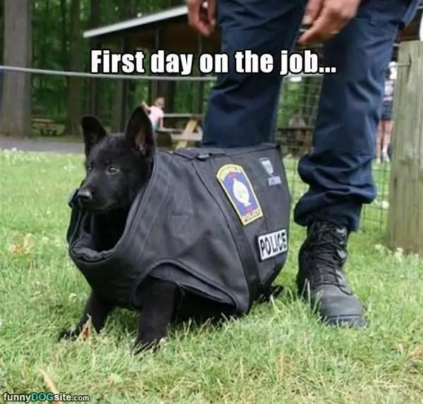 First Day On The Job