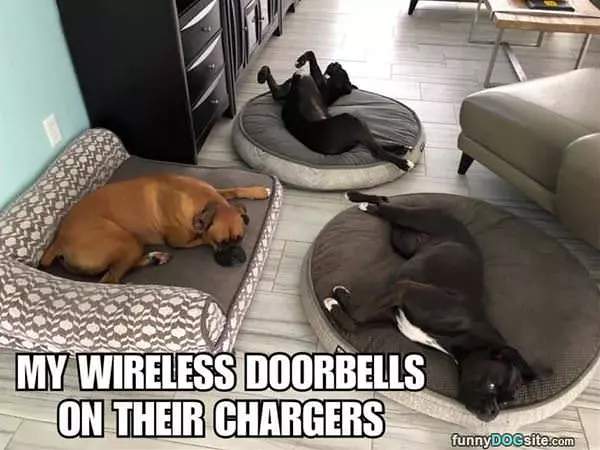 Wireless-doorbells