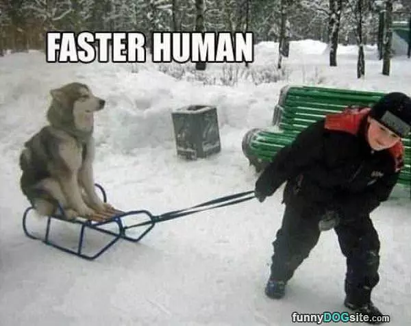 Go Faster Human