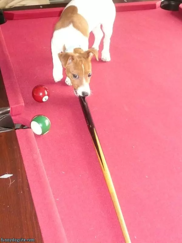 Ted Playing Pool