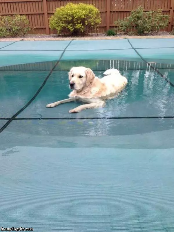 Hey Lets Open The Pool