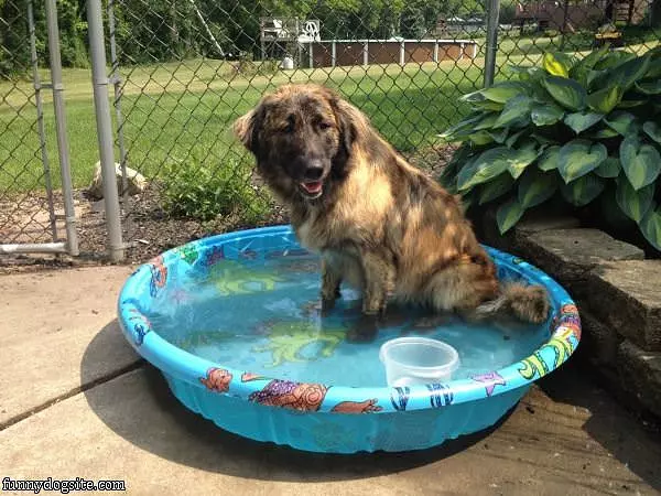 Mila In Her Pool