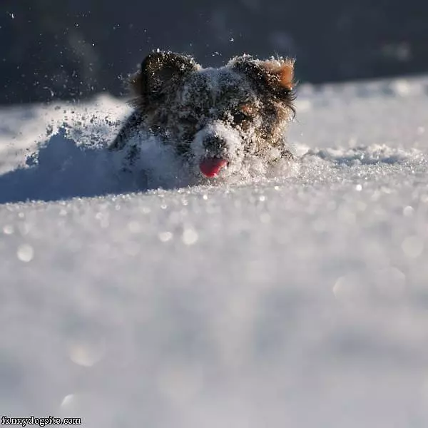 Running In The Snow