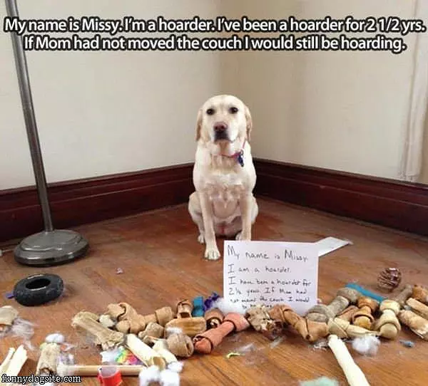 Missy The Hoarder