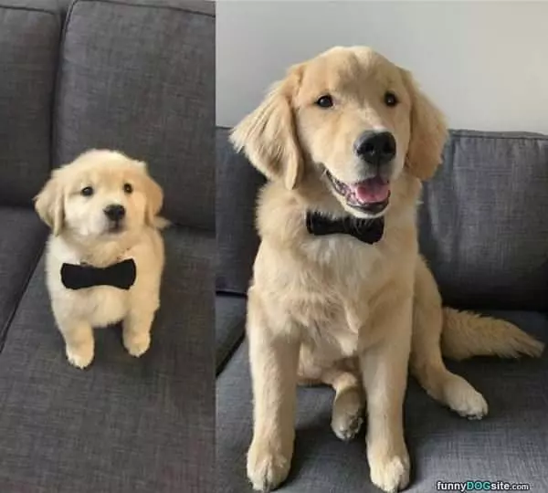 They Grow Up So Fast