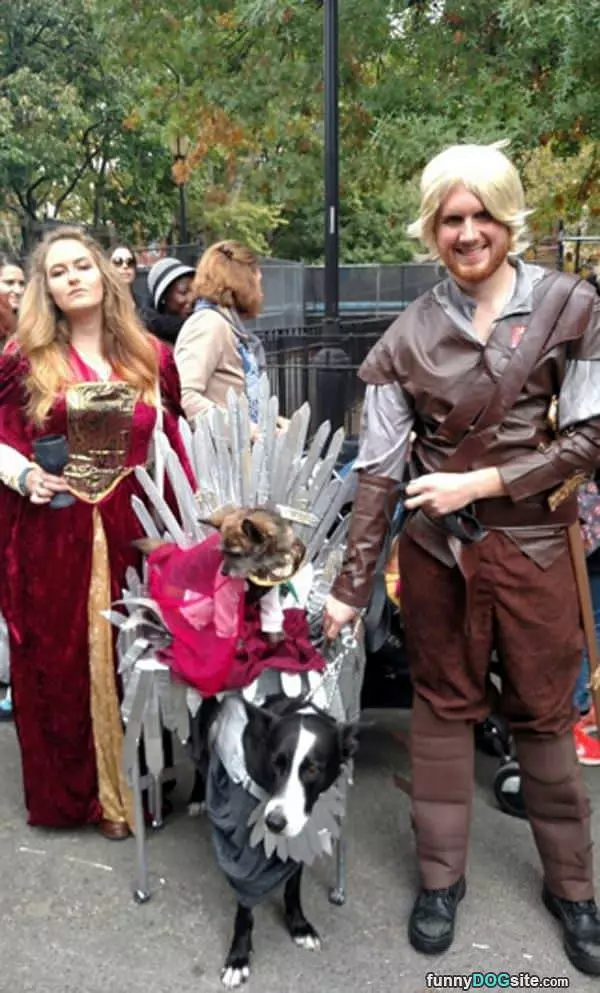 Game Of Thrones Dog