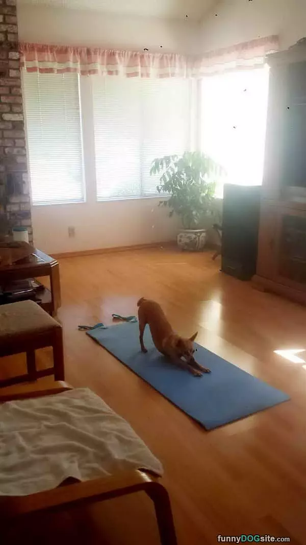 Doing A Little Yoga