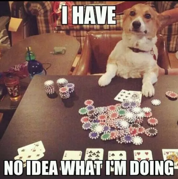 The Poker Dog
