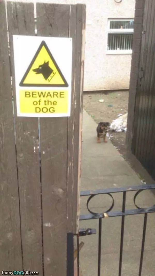 Very Scary Guard Dog