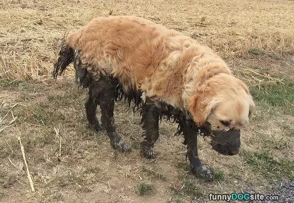 I Love Playing In The Mud