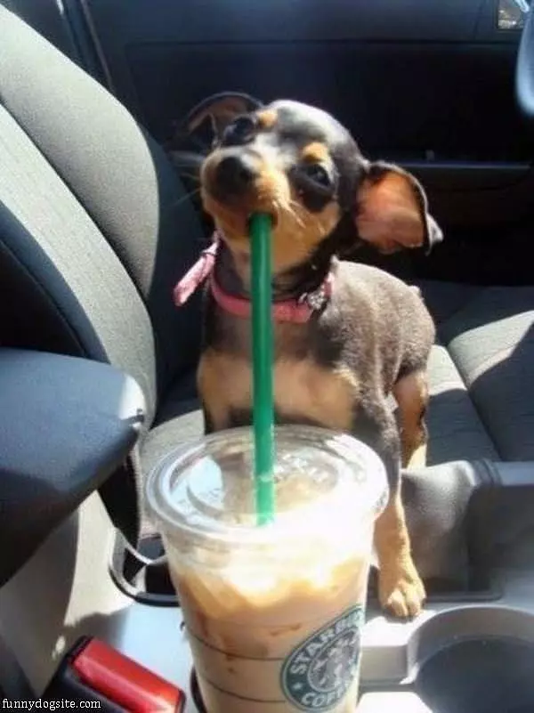 I Want A Sip Please