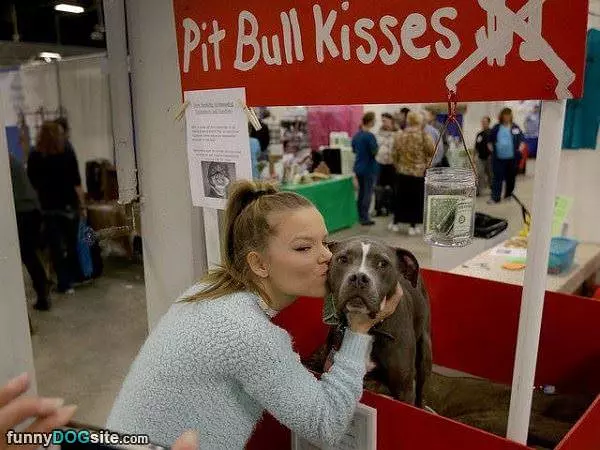 Pitbull Kisses